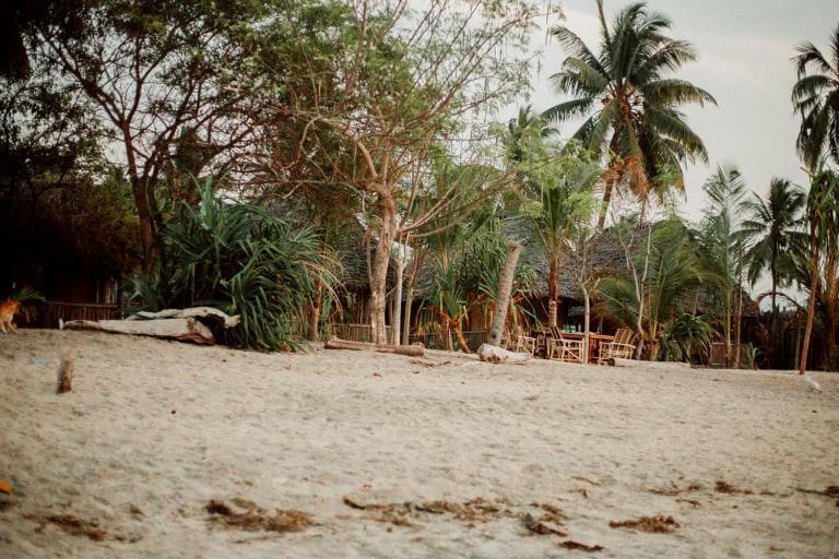 Pangani Ushongo Beach Bandas מראה חיצוני תמונה